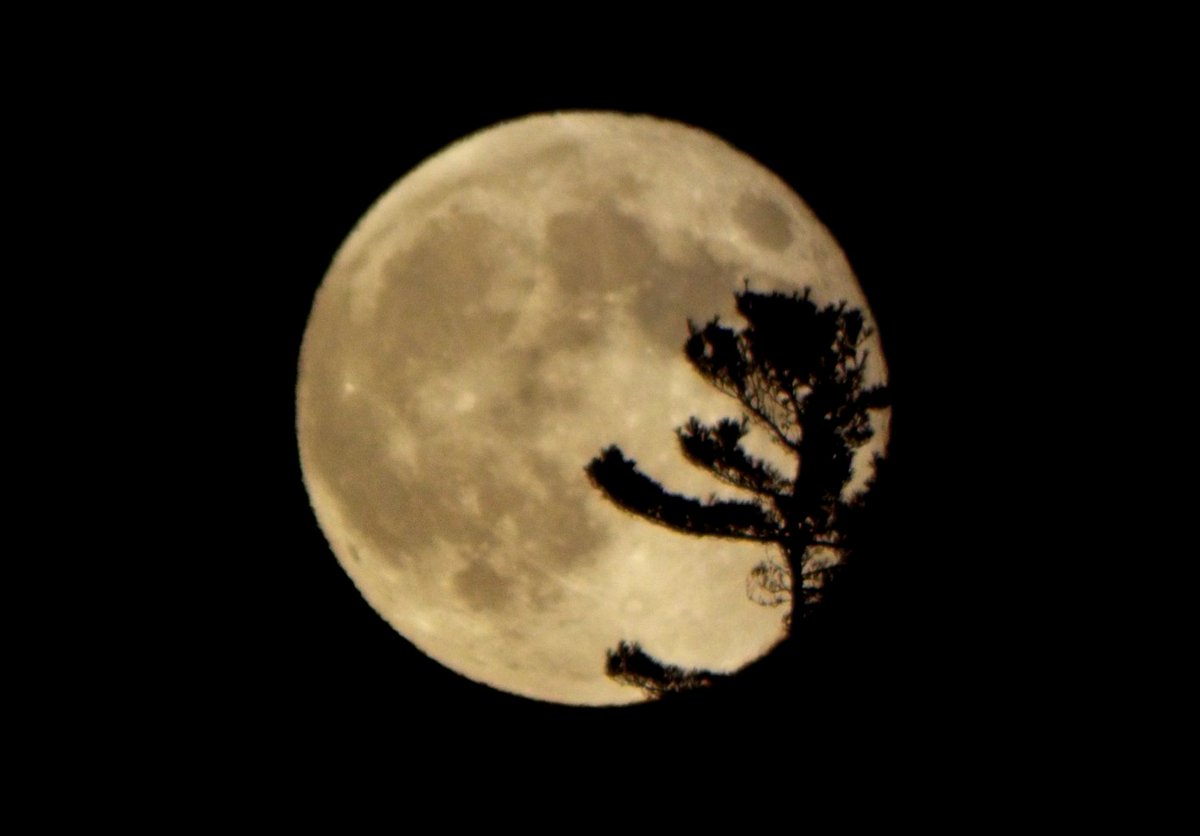 PaulHew69512441's tweet photo. @BrightMoments @JustJosette #MoonTrain @farmerdarrell @EileenLynch130 https://t.co/WnK7nRKB4j