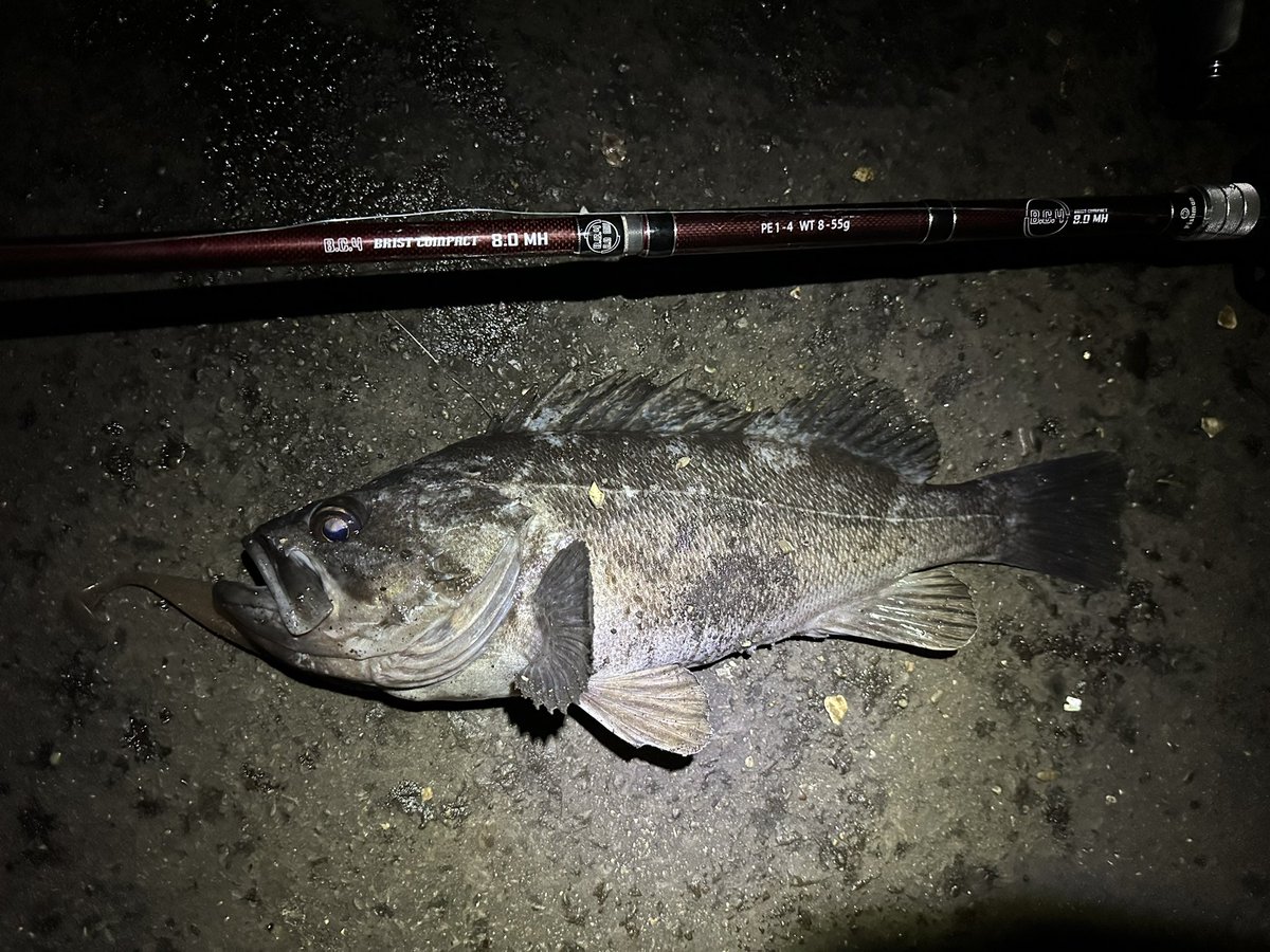 oga_0624_'s tweet photo. 42.40.43って40UP連発で楽し過ぎ。
#fishman
#フィッシュマン
#BC4
#80mh https://t.co/IOmIaqrjC9
