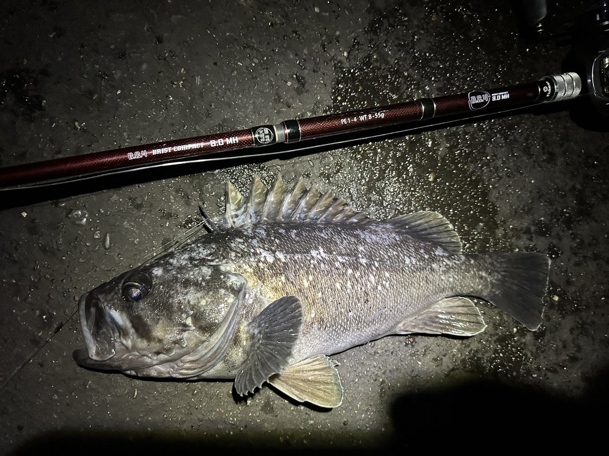 oga_0624_'s tweet photo. 42.40.43って40UP連発で楽し過ぎ。
#fishman
#フィッシュマン
#BC4
#80mh https://t.co/IOmIaqrjC9