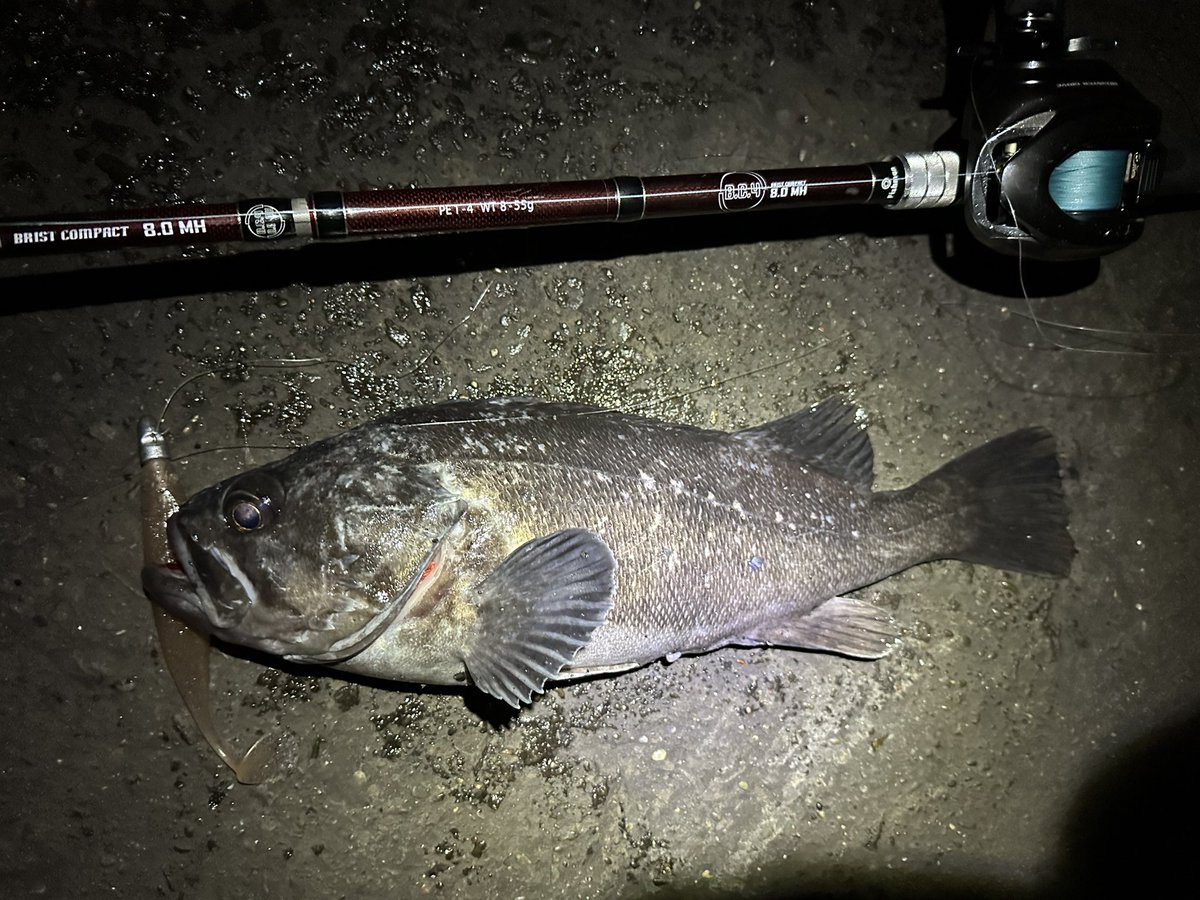 oga_0624_'s tweet photo. 42.40.43って40UP連発で楽し過ぎ。
#fishman
#フィッシュマン
#BC4
#80mh https://t.co/IOmIaqrjC9