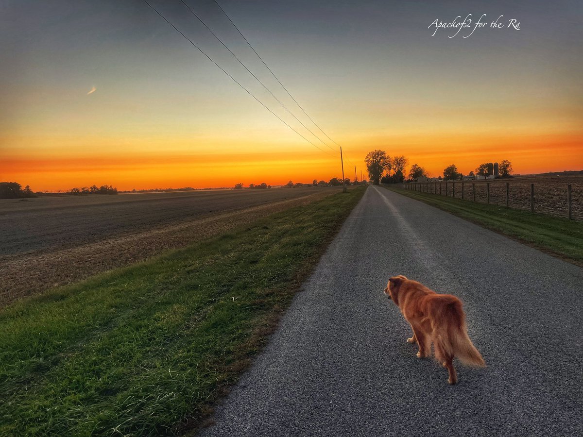 Apackof2Redux's tweet photo. Last walk last night… Leaving this morning..First stop, the Ohio River, Kentucky/Indiana border 

#apackof2 #fulltimetravel #snowbirdseason #fulltimervers #rvingwithdogs https://t.co/soVSXXCb10