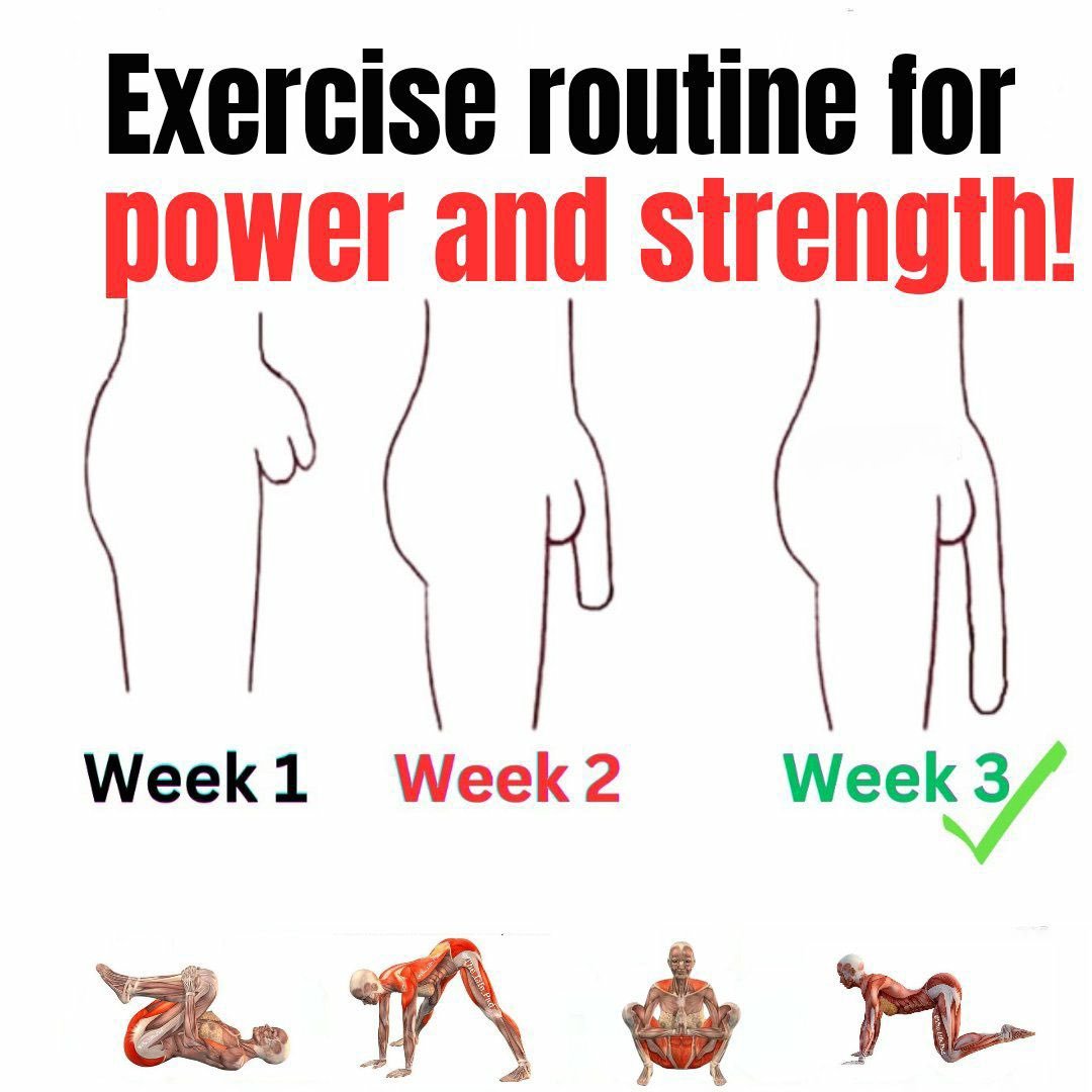 _fitfinity_'s tweet image. Exercise routine for power and strength :
(Education purpose only)