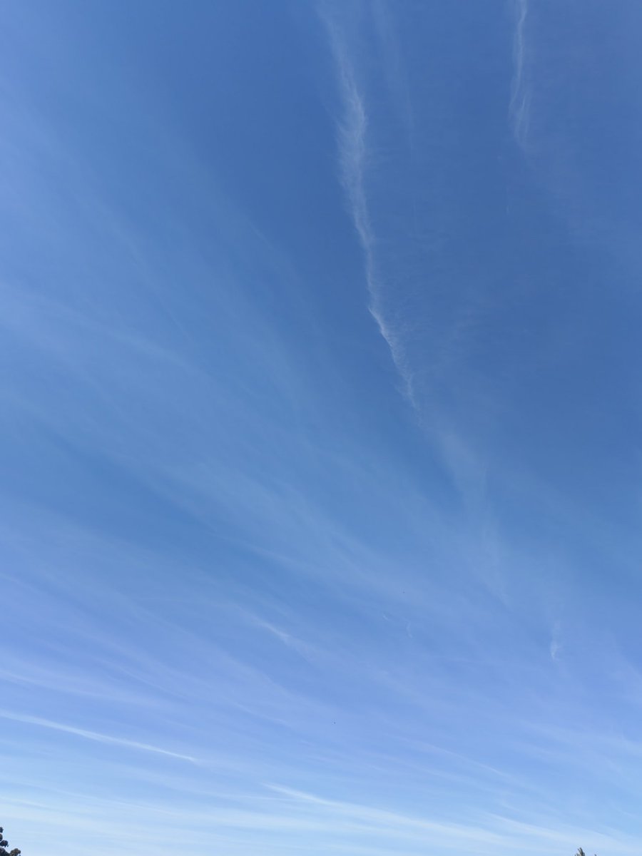 Evelyn Fernández tweet media