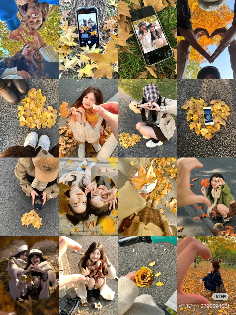 hongmeinu_china's tweet photo. もう少しでこれできるようになるかな〜❤︎❤︎紅葉が待ち遠しい🍁 https://t.co/fodC3Qb53l
