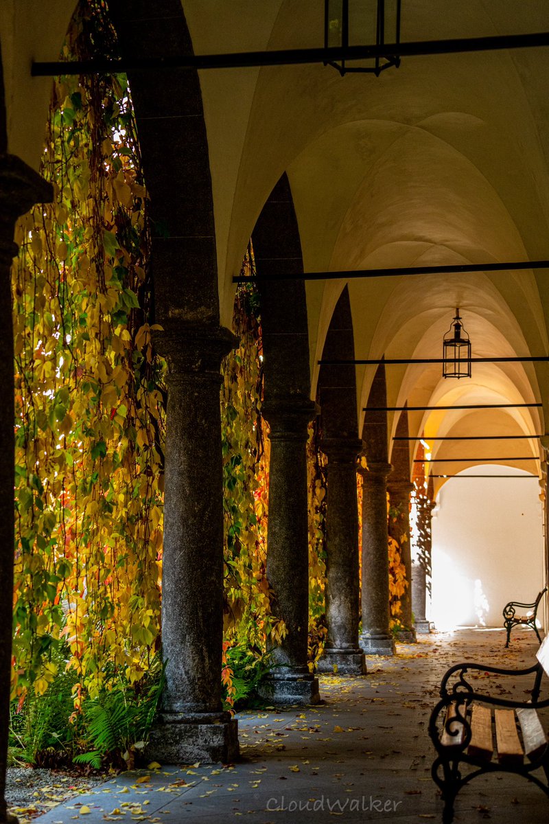 walkercloud13's tweet photo. Greetings to all! Autumn at Greinburg Castle in Grein 🍂🍁🍂 I encourage everyone to visit, it's beautiful 🍂🍁🍂 #Castle #Greinburg #Grein #Danube #history #architecture #autumn #Oberösterreich #Austria #SonyAlpha 🍁🏰 🍂 https://t.co/wyoRQjdX9t