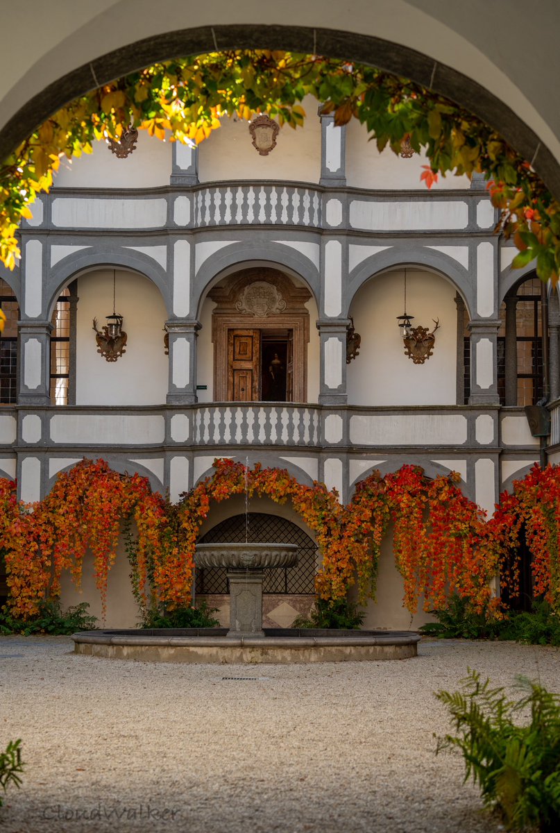 walkercloud13's tweet photo. Greetings to all! Autumn at Greinburg Castle in Grein 🍂🍁🍂 I encourage everyone to visit, it's beautiful 🍂🍁🍂 #Castle #Greinburg #Grein #Danube #history #architecture #autumn #Oberösterreich #Austria #SonyAlpha 🍁🏰 🍂 https://t.co/wyoRQjdX9t