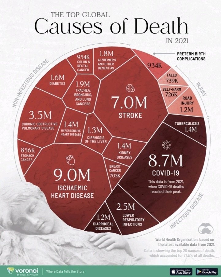 DrRaniKhatib's tweet photo. The top global causes of death. 
Cardiovascular disease remains the top killer. https://t.co/tg6I0gnskk