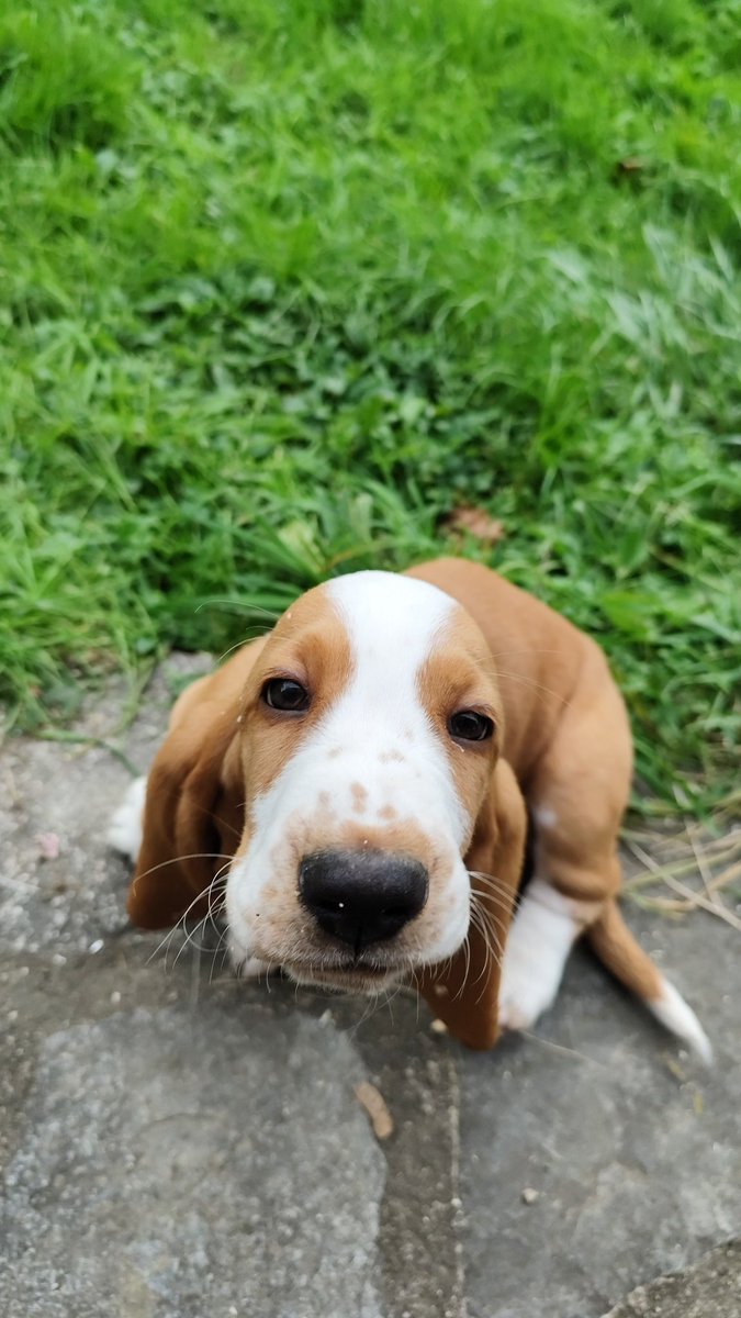 HeHisSelf (@hehisself) on Twitter photo 