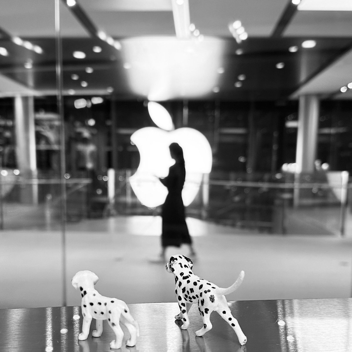 casparterhorst's tweet photo. @DMiller52325459 Shadow Walking. #BnW #followthedalmatians #Apple #HongKong #IFCmall https://t.co/WUzRxOm830