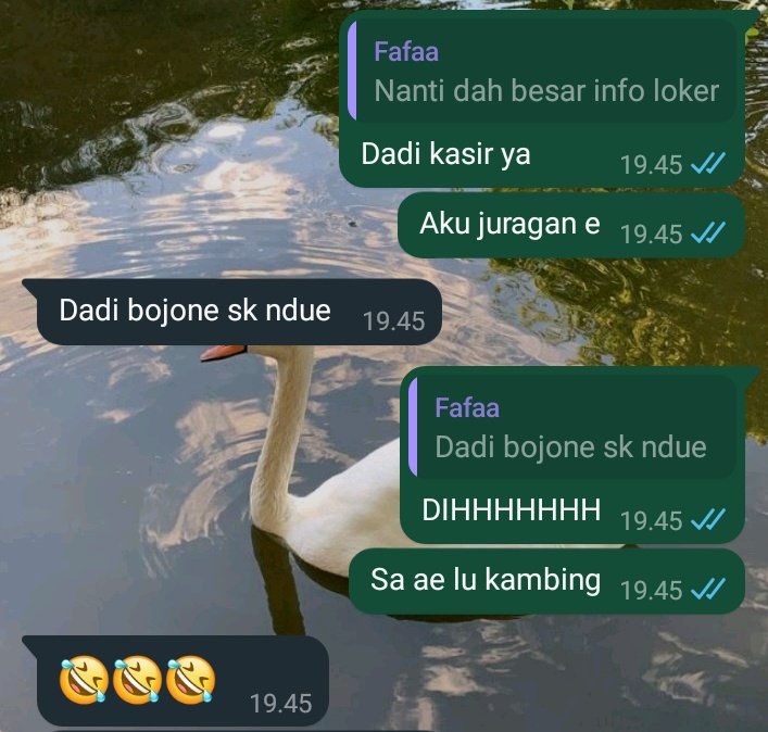 Kocag lu wkekeke
