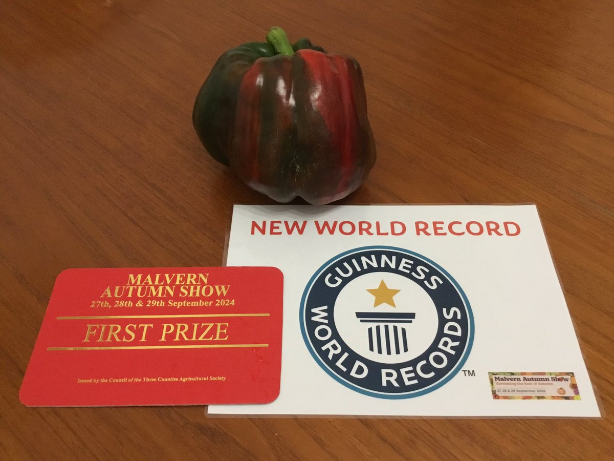 My 13th Guinness World Record certificate has arrived. 😎