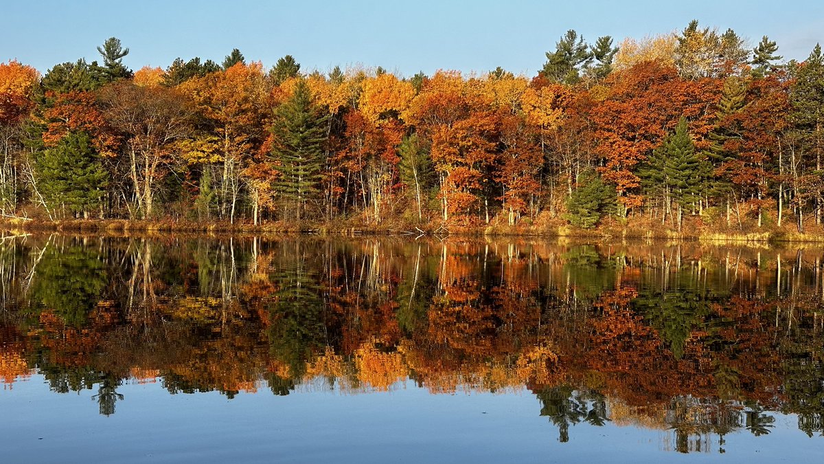 benwikler's tweet photo. Hard to imagine any place on earth more beautiful that Vilas County, Wisconsin in mid October. https://t.co/JemMUZ8EgI