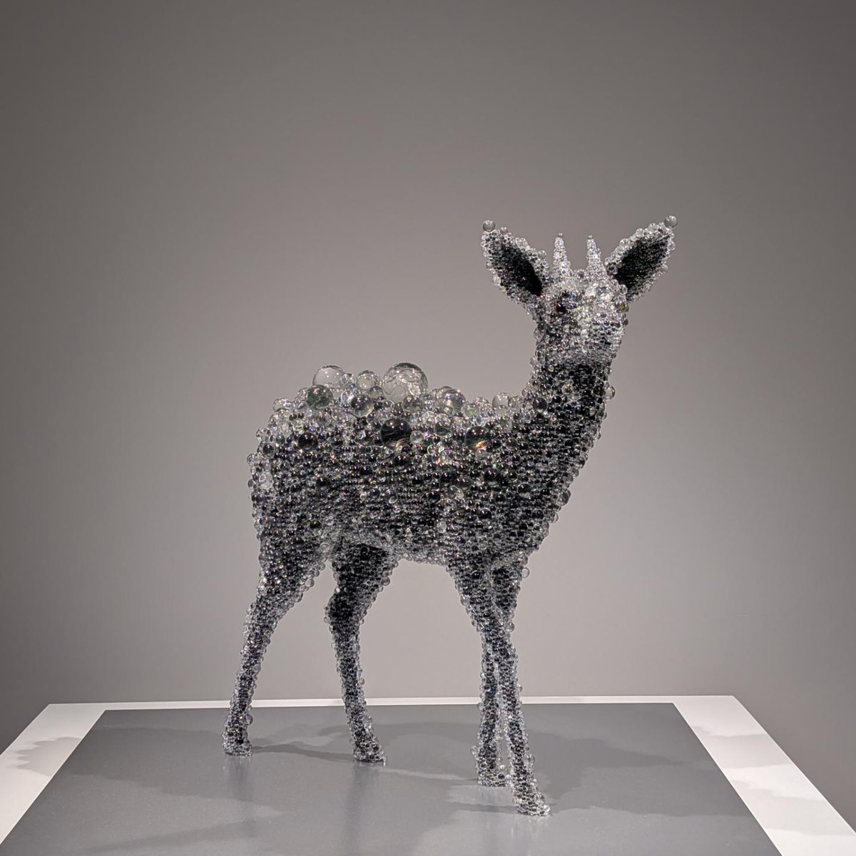 植島美術館行ってきました。