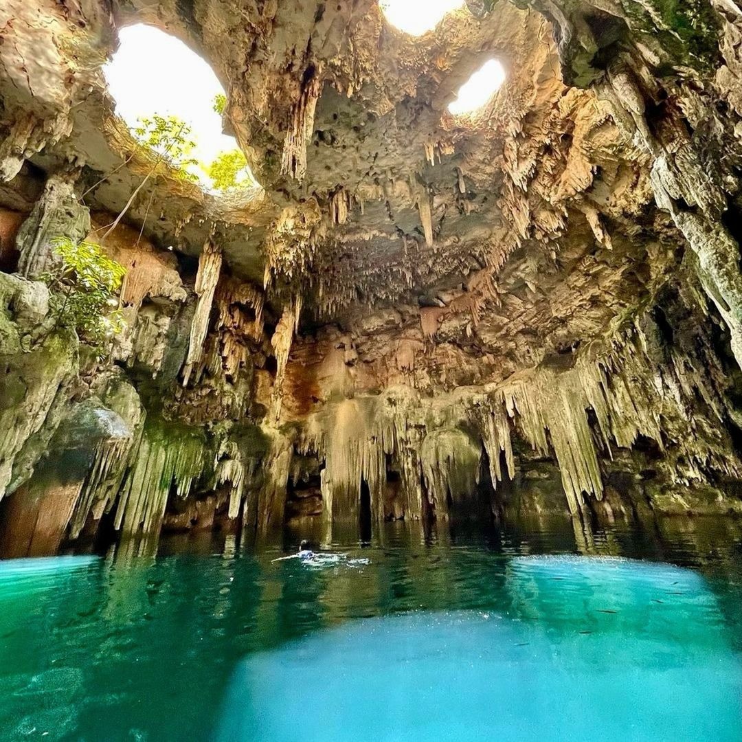 Xenotes's tweet photo. #HapppySunday Which will be your next step?
🪖 Underground Expedition @XplorPark
💦 Cenote Tsukán @XCExpedition
🏖 Natural Wonder @XelHaPark
🌆 The Town @XensesPark Insomnia https://t.co/GOPGofiz4w