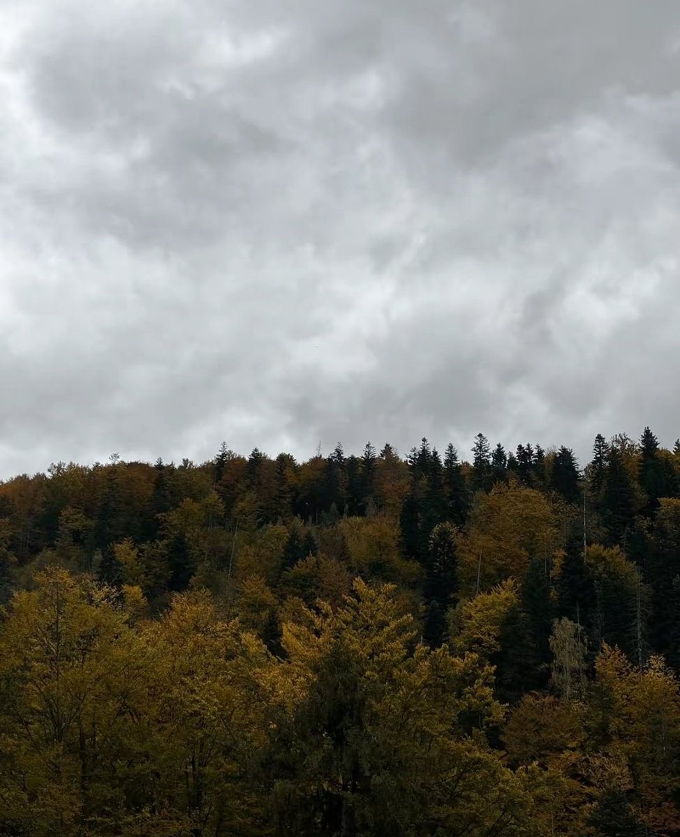 talya9646171863's tweet photo. autumn aesthetic 🌧️🤎 https://t.co/vLE0q4zNTr