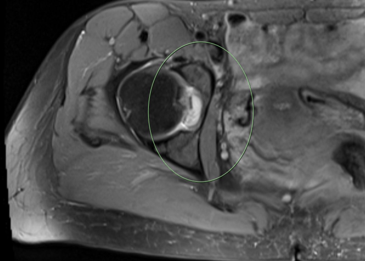 James Noake tweet media