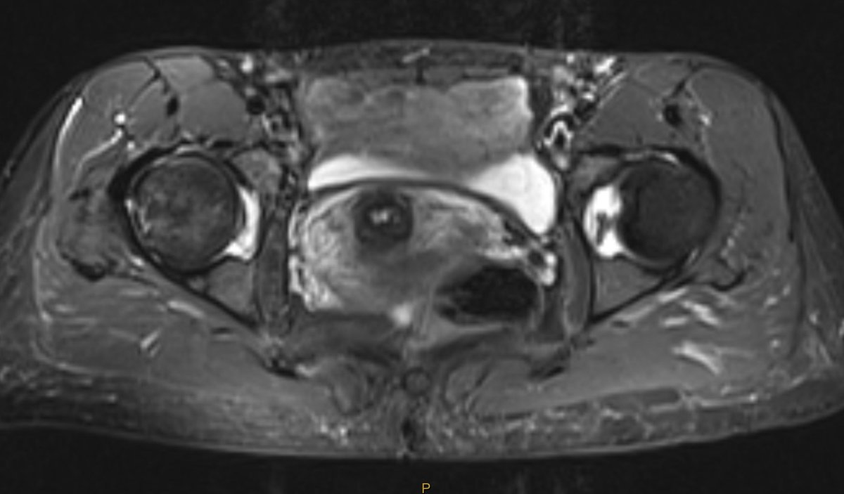 James Noake tweet media