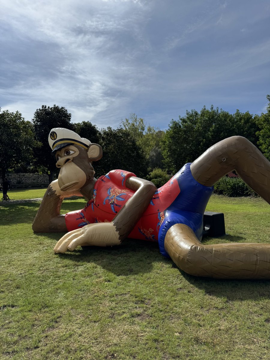 GM ApeFest!!! <a href="/BoredApeYC/">Bored Ape Yacht Club 🍌</a> 
We pulling strings today or throwing things into some holes. 🍌