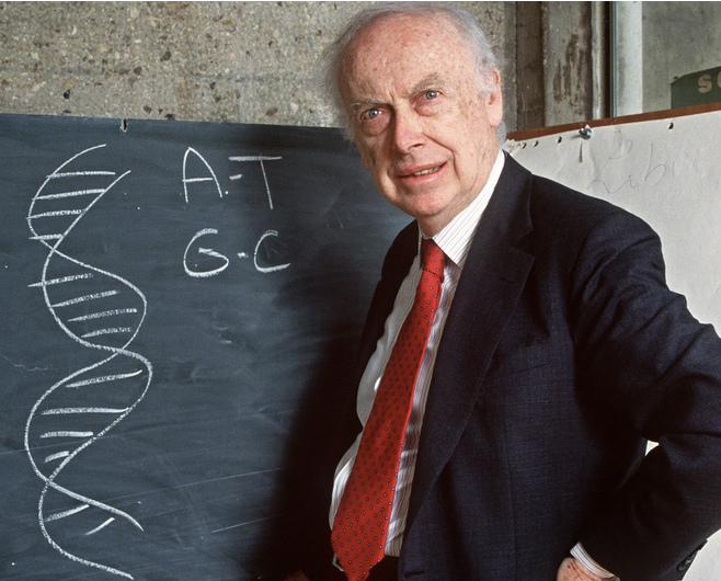 In researching the class I'll present this week I am reviewing the story of James Watson, Nobel Laureate for his work on DNA structure and a prominent leader in our community for decades, including a leadership role in the Human Genome Project 1/n