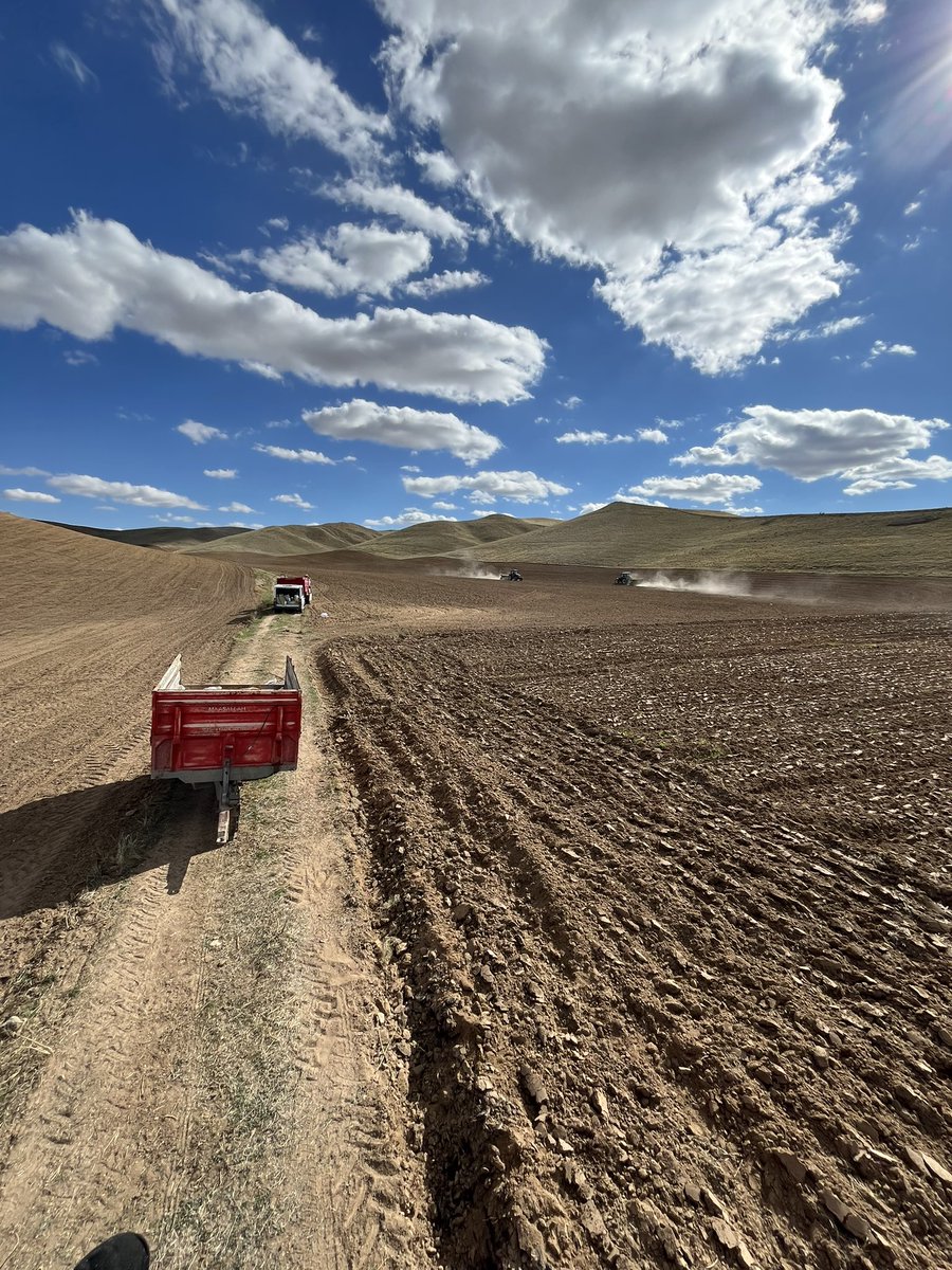 2024YILI TOHUM EKİMİNİ TAMAMLADIK TÜM CİFTÇİLERİMİZEDE BEREKETLİ BİR YIL TEMENNİ EDİYORUM