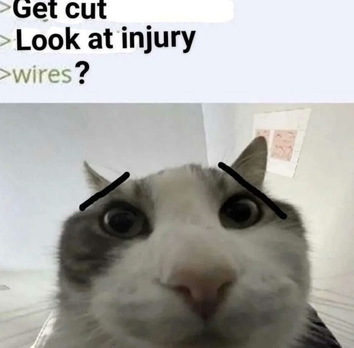 FathomFloof's tweet image. 