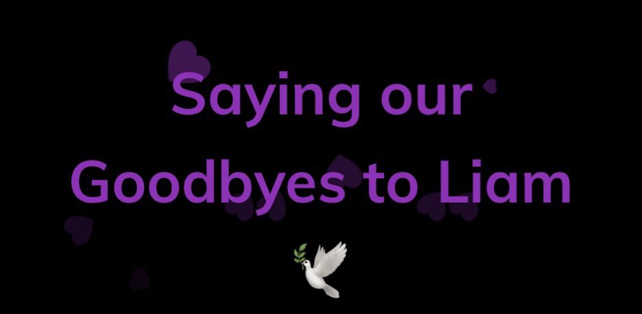 1DAlert's tweet photo. Liam Payne’s memorial wall 🕊️💔

Share your goodbyes, your favorite memories, or whatever is on your mind. 

This will be open forever, so we can always look back and remember our love, memories, and feelings. 

https://t.co/5A6tlId0mX https://t.co/5r2kzgvXnS