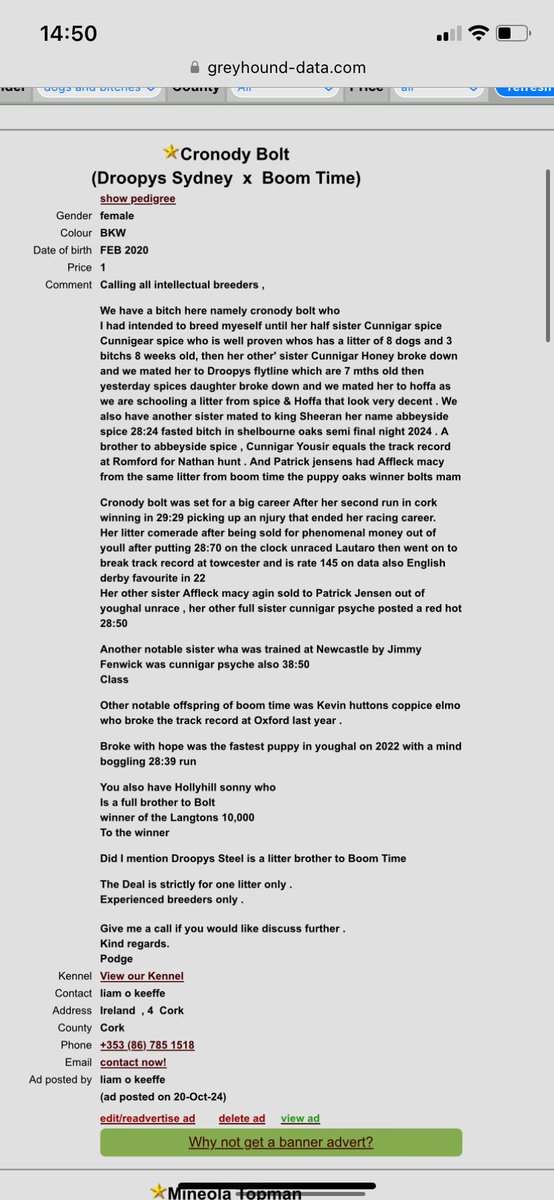 Serious breeding opportunity , experienced beeders only .
