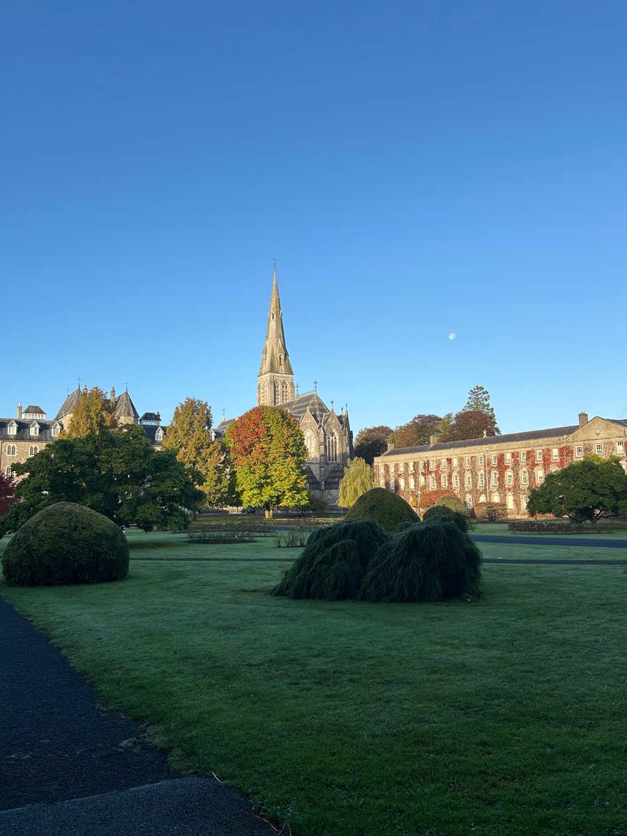 Dr Ciara Gorman tweet media