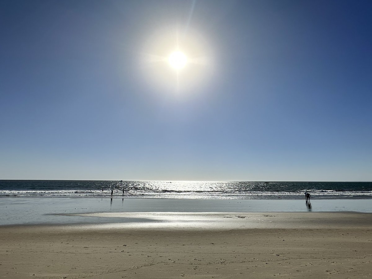 And that’s it for #IDWeek2024 in Los Angeles! It was wonderful to attend great sessions, support our current and former fellows, and reconnect with old friends, colleagues, and mentors. We’re leaving energized and excited for the future of our field. Until next time!