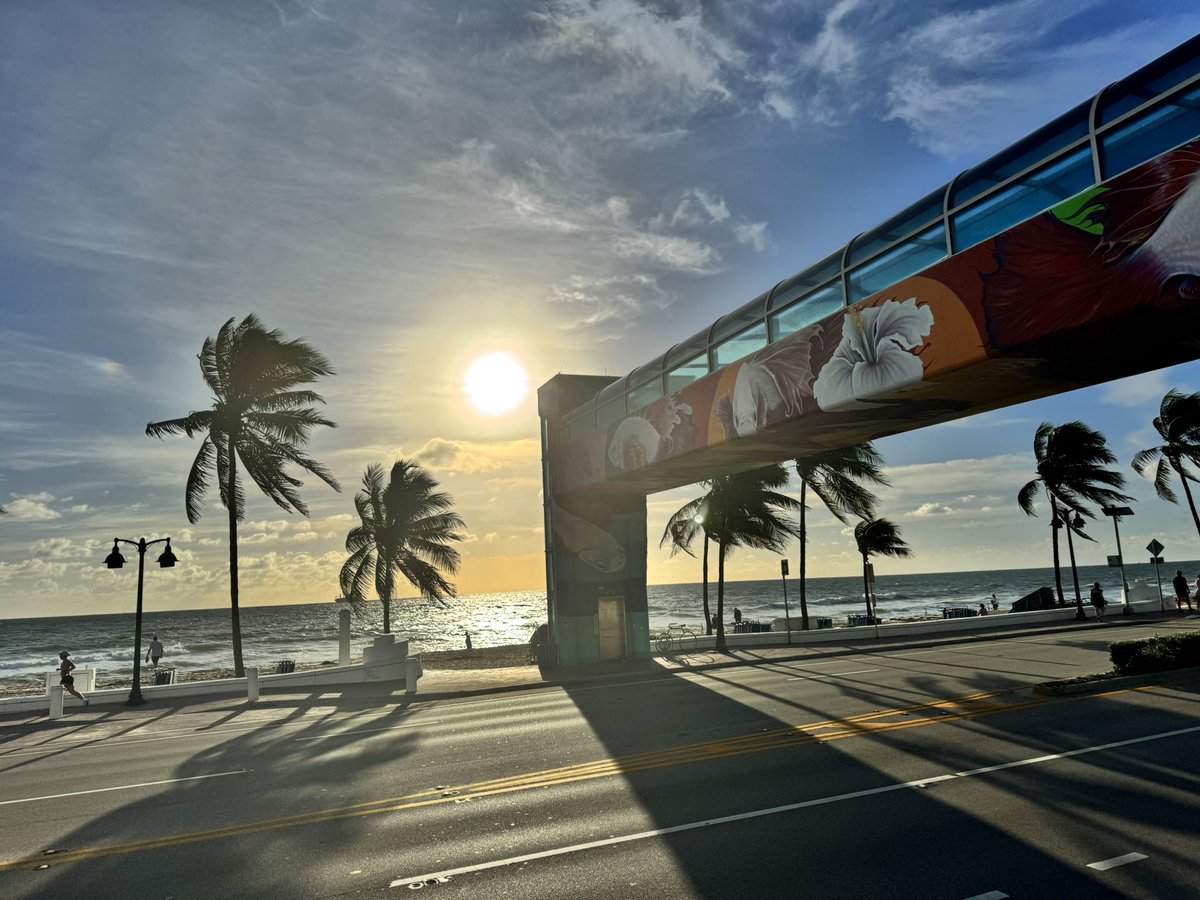 modaly_it's tweet image. Out for a morning stroll before prepping for session delivery tomorrow at #MMSFlamingo 🌴☀️🦩#MVPBuzz