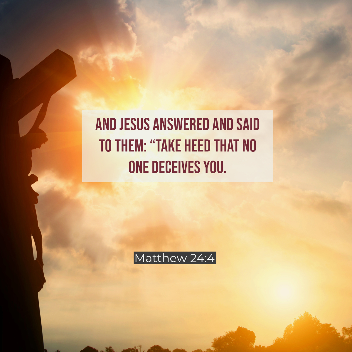 And Jesus answered and said to them: “Take heed that no one deceives you". - Matthew 24:4

#bible #scripture