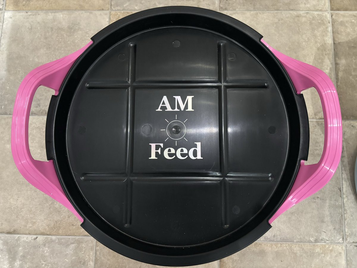 EquineTpj's tweet photo. The best horse feed buckets 
Pop and get yours 
https://t.co/AKxTokn1w3 

#horse #pony #equestrian #equine https://t.co/P7L6ePGJy3