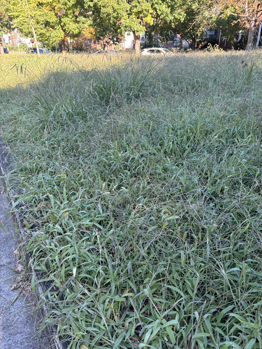 Ashley Schapitl tweet media