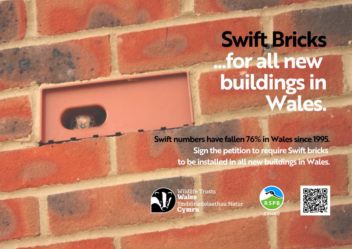 The Wildlife Trusts tweet media