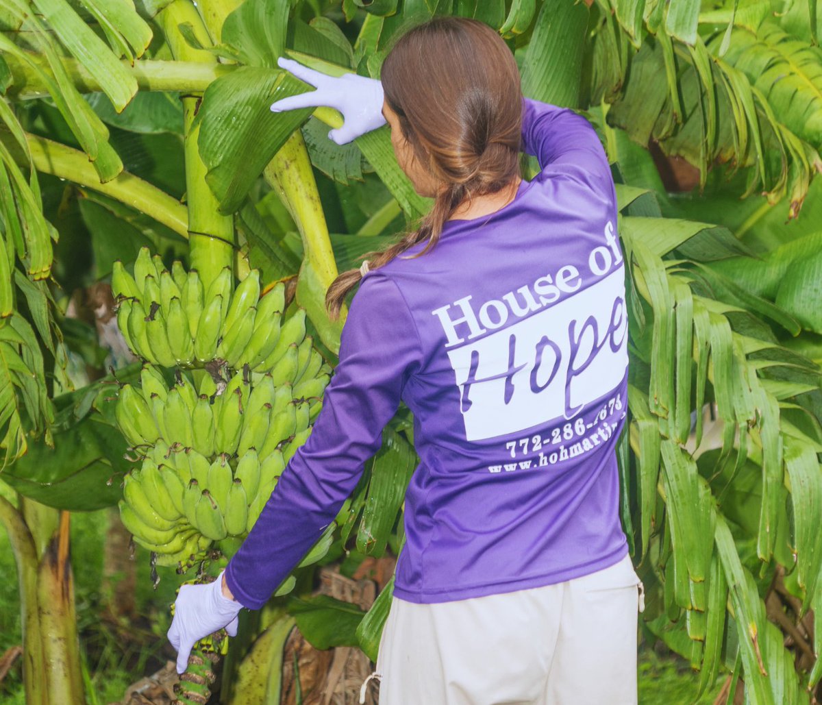 🍌 We’re going bananas over this incredible harvest! 🍌 Thanks to Growing Hope Farm staff and volunteers for helping nourish our community. 🌱