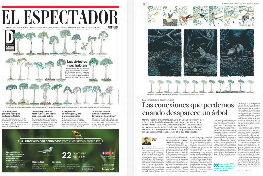 Sergio Silva Numa (@sergiosilva03) on Twitter photo ¿Cómo no caer en el lugar común de "Inicia la #COP16" en una portada?
Preferimos publicar ilustraciones hechas por indígenas de la Amazonia, recopiladas por <a href="/Tropenbos/">Tropenbos International</a> Col, para llamar la atención sobre la biodiversidad que no podemos seguir perdiendo.
elespectador.com/ambiente/cop16… ¿Cómo no caer en el lugar común de "Inicia la #COP16" en una portada?
Preferimos publicar ilustraciones hechas por indígenas de la Amazonia, recopiladas por <a href="/Tropenbos/">Tropenbos International</a> Col, para llamar la atención sobre la biodiversidad que no podemos seguir perdiendo.
elespectador.com/ambiente/cop16…
