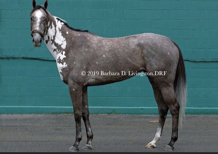 JadeFavre's tweet photo. Fashion’s Touch on the track ➡️ off the track. 

Photo credit to @DRFLivingston. 🩷 https://t.co/FHeQvAObL7