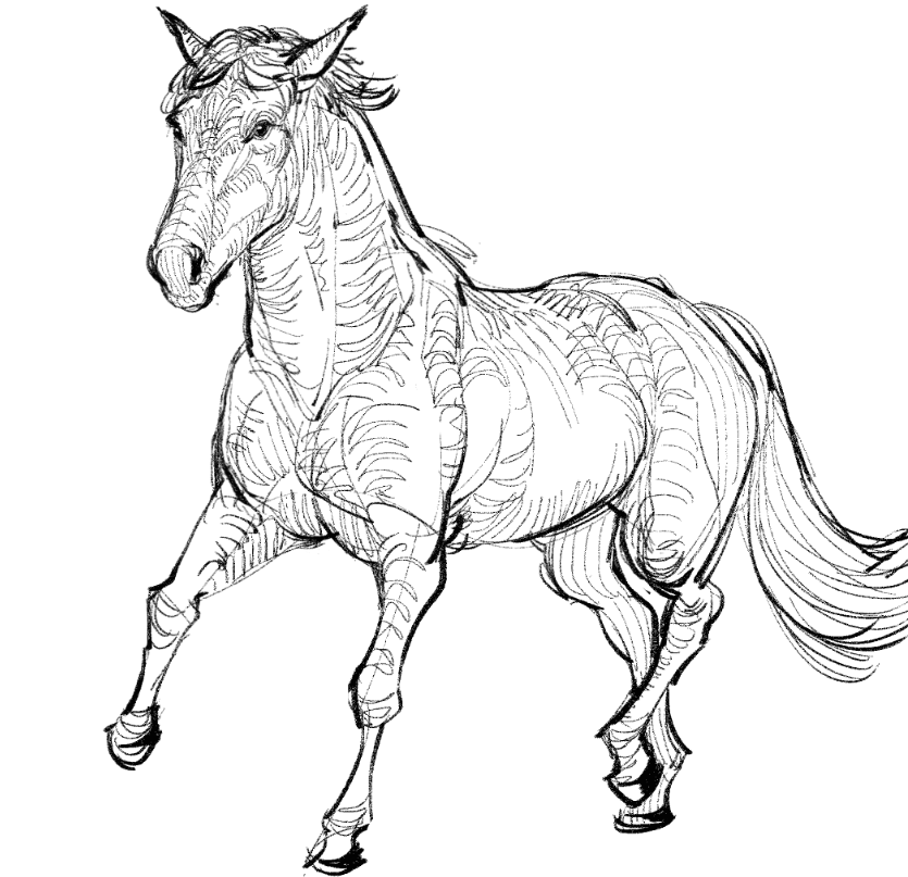 12catttt's tweet photo. animal sketch https://t.co/P0277b0uEh