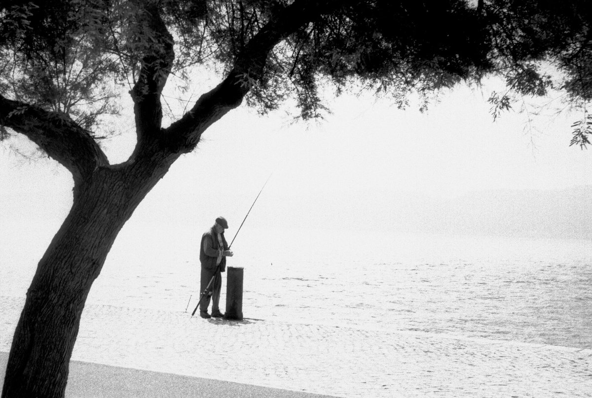 Jour 20 - Simple 

#31themesAnalogChallenge