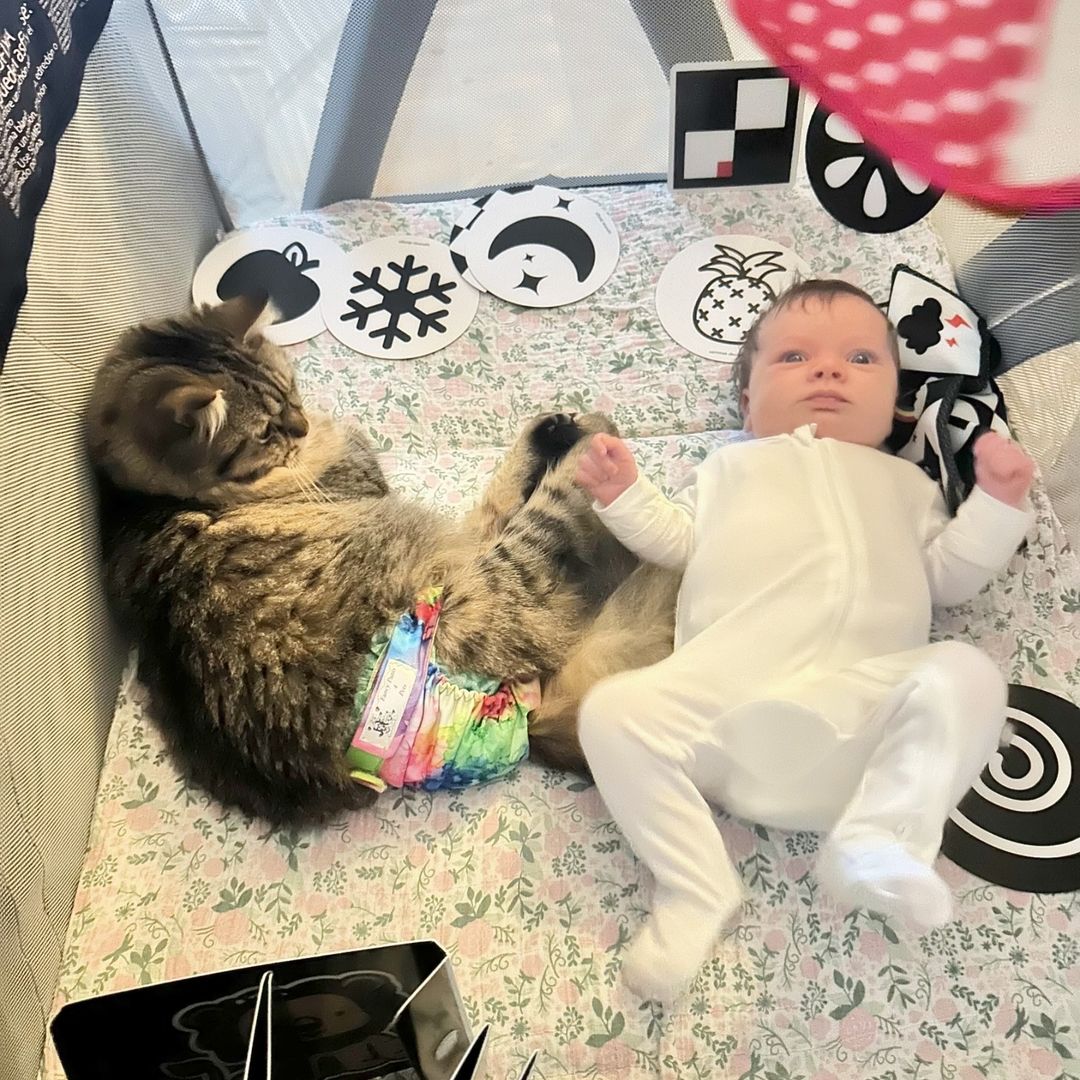 5diti2368fjfgjj's tweet photo. Rufus supervising🫡🥰
I have so much I’ve been wanting to post but have not had time🤪
Kaia is going through a fussy phase and Matt went on his first work trip this week since Kaia was born😅 But we’re surviving!😆💪
#postpartum #postpartumjourney #postpartumlife #firsttimemum https://t.co/TJKw8cFc6w