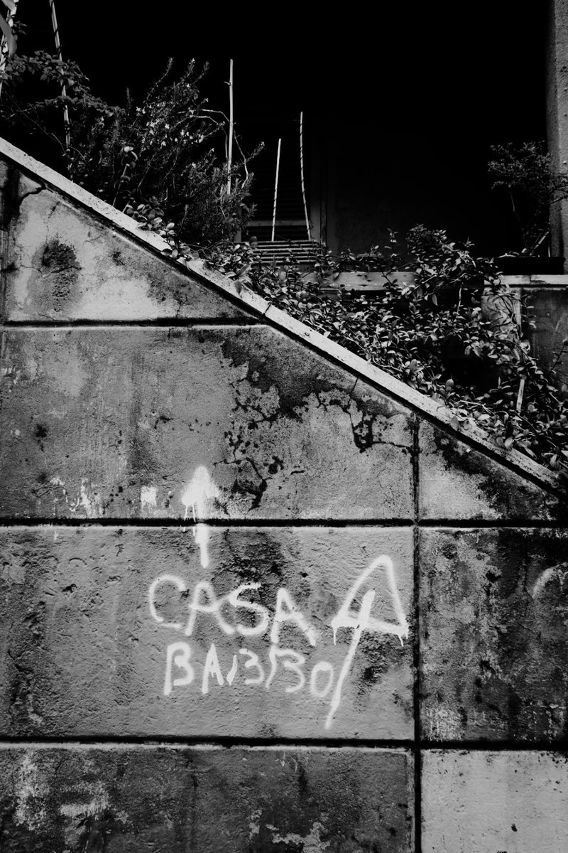 GualtieriPhoto's tweet photo. Tufello#69
© Davide Gualtieri
#tufello #roma #rome #photography #photo #quartiere #cultura #popolare #lotti #giardini #piante #verde #casepopolari #occupazione #nano #dwarf #writers #streetphotography #scrittesuimuri #architecture #socialismo #romestreetphotography #madonna https://t.co/QxNIz5g7AM