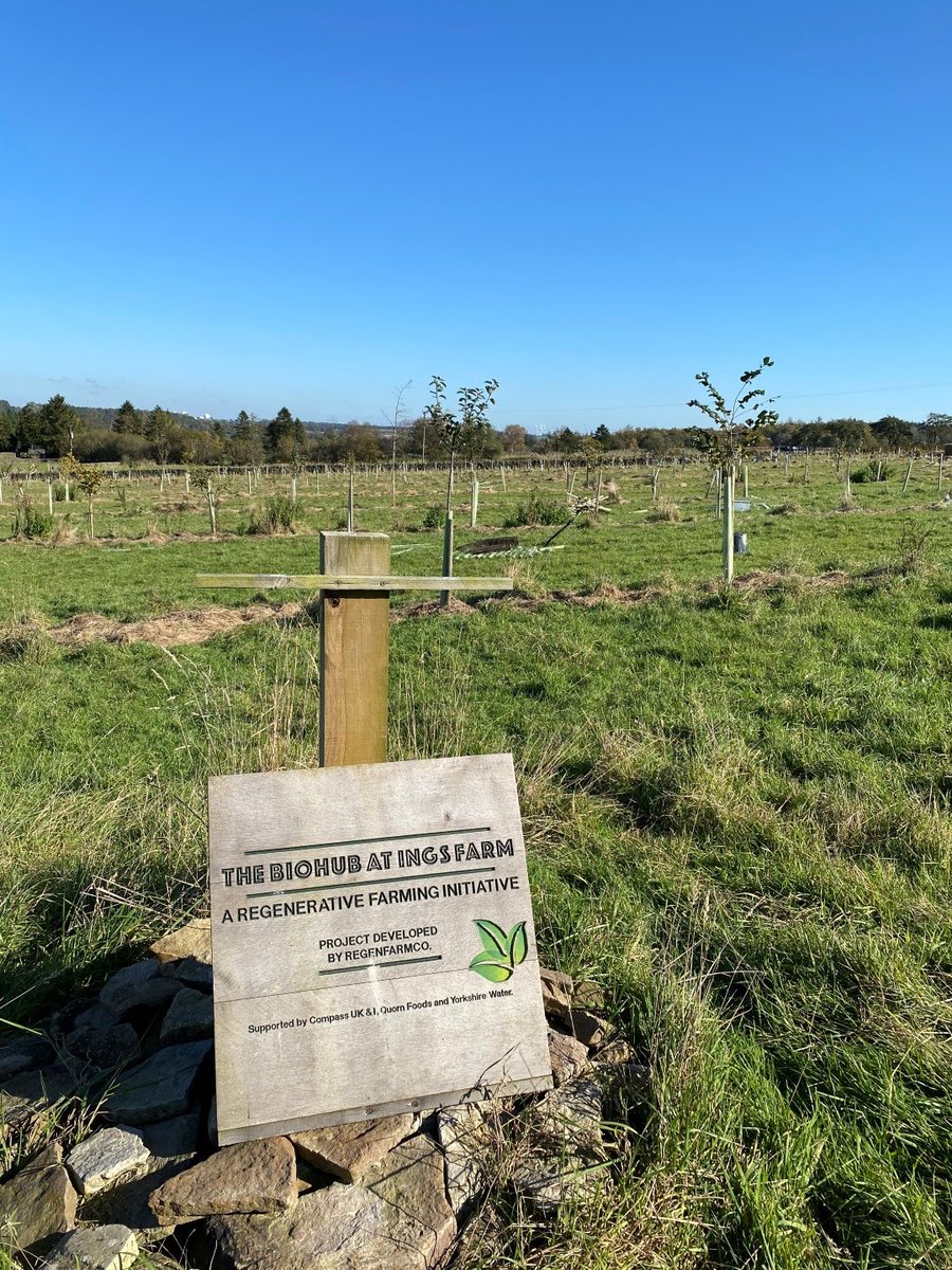 Kate Wright (@katewfreshwater) on Twitter photo We're pleased to be working with <a href="/RegenFarmCo/">RegenFarmCo</a> installing some wetland features along the upper edge of this exciting agro-forestry scheme, helping to manage water flow whilst providing homes for wildlife. Great clay soil - can't wait to see the finished ponds. We're pleased to be working with <a href="/RegenFarmCo/">RegenFarmCo</a> installing some wetland features along the upper edge of this exciting agro-forestry scheme, helping to manage water flow whilst providing homes for wildlife. Great clay soil - can't wait to see the finished ponds.