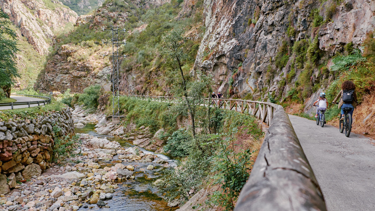 ¡Ciclismo en Asturias! 🚴‍♀️ Pedalea por 30kms de antiguos caminos mineros en La Senda del Oso, una de las rutas más bonitas de España, donde además podrás avistar osos pardos cantábricos. 

👉 n9.cl/o4z6u2
 
#VisitSpain #TeMerecesEspaña #Asturias <a href="/turismoasturias/">TurismoAsturias</a>