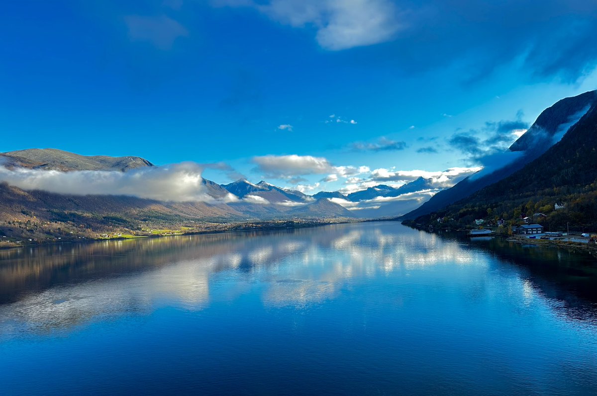 Di Mitchell tweet media