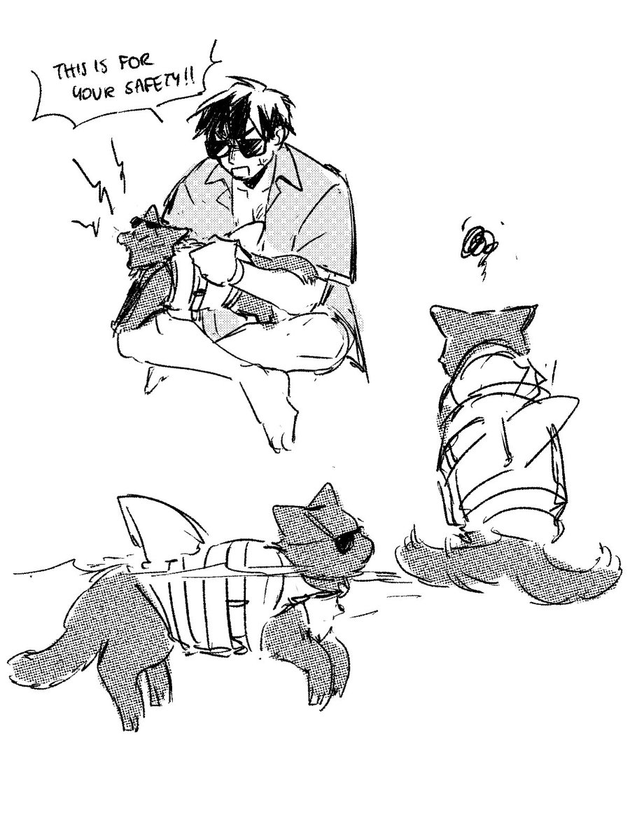 Beach cat 
