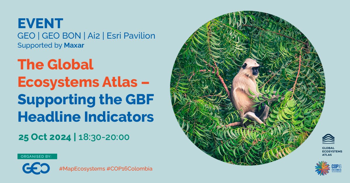 Group on Earth Observations (@geosec2025) on Twitter photo Coming up at our pavilion at #COP16Colombia on Friday:
The Global Ecosystems Atlas: Supporting the Global Biodiversity Framework headline indicators
#MapEcosystems
📅 25 October
🕡 6.30pm
🗣️ <a href="/n_ylime/">emily nicholson</a> / Mandy Driver / <a href="/remotelysense/">Nick Murray</a> / <a href="/matimele2/">Hermenegildo Matimele</a> Coming up at our pavilion at #COP16Colombia on Friday:
The Global Ecosystems Atlas: Supporting the Global Biodiversity Framework headline indicators
#MapEcosystems
📅 25 October
🕡 6.30pm
🗣️ <a href="/n_ylime/">emily nicholson</a> / Mandy Driver / <a href="/remotelysense/">Nick Murray</a> / <a href="/matimele2/">Hermenegildo Matimele</a>