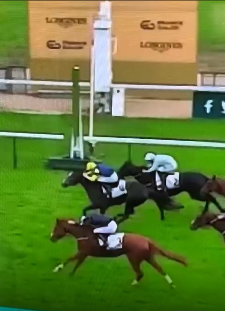 Chris Napthine 🐎🐑🏃🏻‍♂️ tweet media