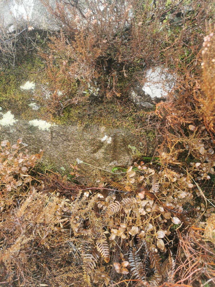 On a recent hike up the Blackstairs mountains I noticed this marker from the ordinance survey. Better know as crow's feet, due to their obvious shape, these markers were created by the ordinance survey crews who mapped all of Ireland during the mid 19th century.