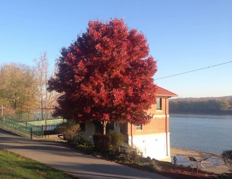 ThomasMore Field Station tweet media