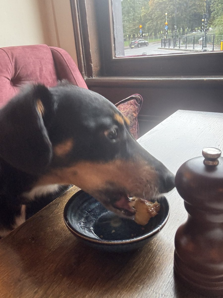 Sunday lunching 🐶♥️